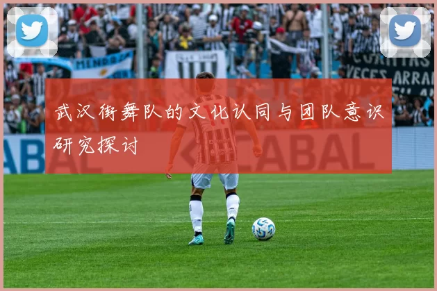 武汉街舞队的文化认同与团队意识研究探讨