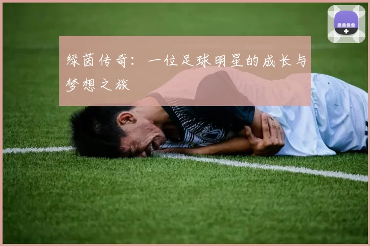 绿茵传奇：一位足球明星的成长与梦想之旅