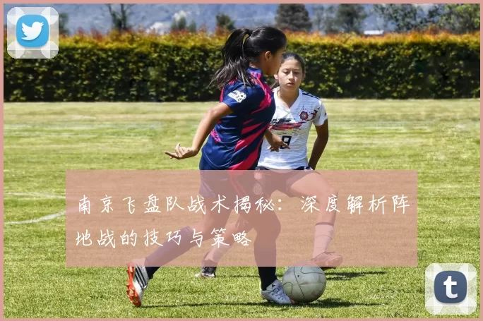 南京飞盘队战术揭秘：深度解析阵地战的技巧与策略