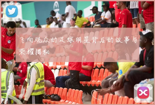 飞向观众的足球明星背后的故事与荣耀揭秘