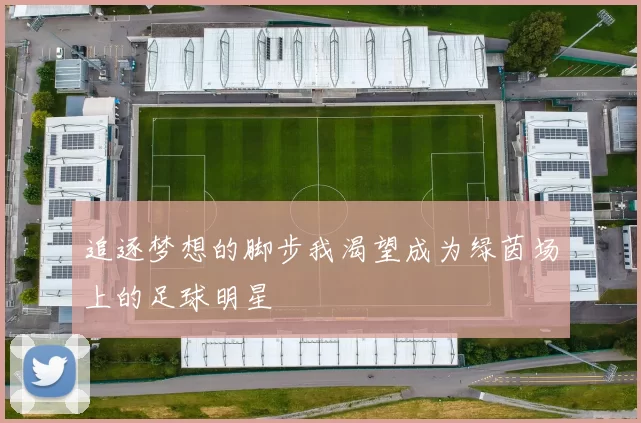 追逐梦想的脚步我渴望成为绿茵场上的足球明星