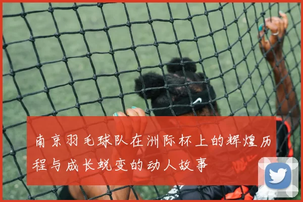南京羽毛球队在洲际杯上的辉煌历程与成长蜕变的动人故事