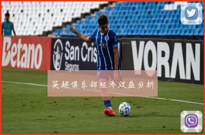 英超俱乐部经济效益分析