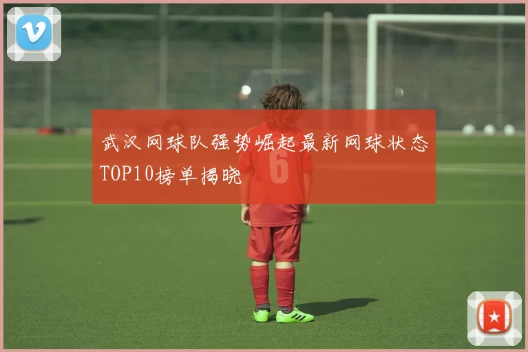 武汉网球队强势崛起最新网球状态TOP10榜单揭晓