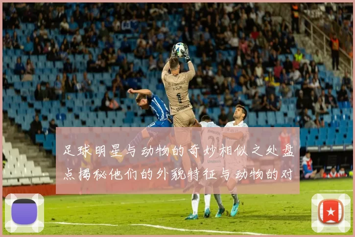 足球明星与动物的奇妙相似之处盘点揭秘他们的外貌特征与动物的对比