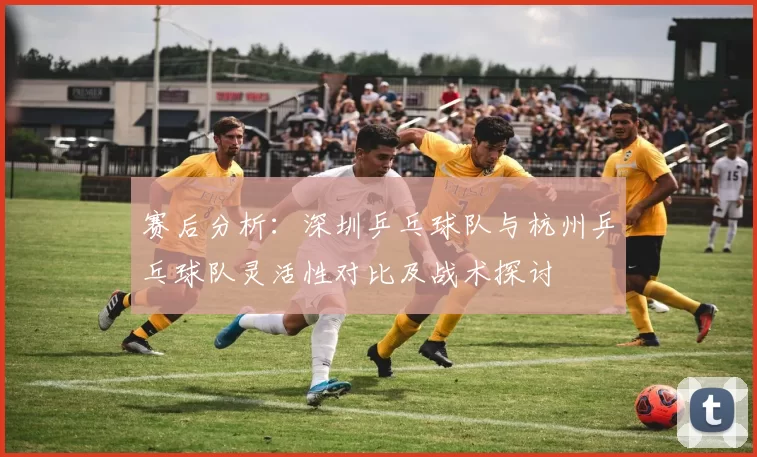 赛后分析：深圳乒乓球队与杭州乒乓球队灵活性对比及战术探讨