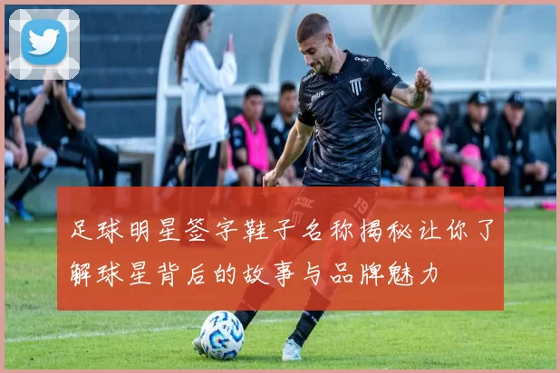 足球明星签字鞋子名称揭秘让你了解球星背后的故事与品牌魅力