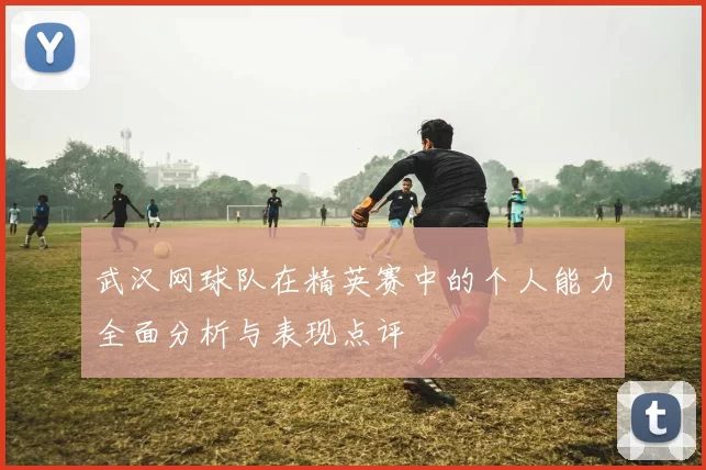 武汉网球队在精英赛中的个人能力全面分析与表现点评