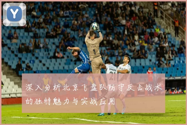 深入分析北京飞盘队防守反击战术的独特魅力与实战应用