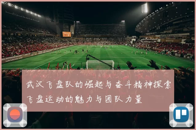 武汉飞盘队的崛起与奋斗精神探索飞盘运动的魅力与团队力量