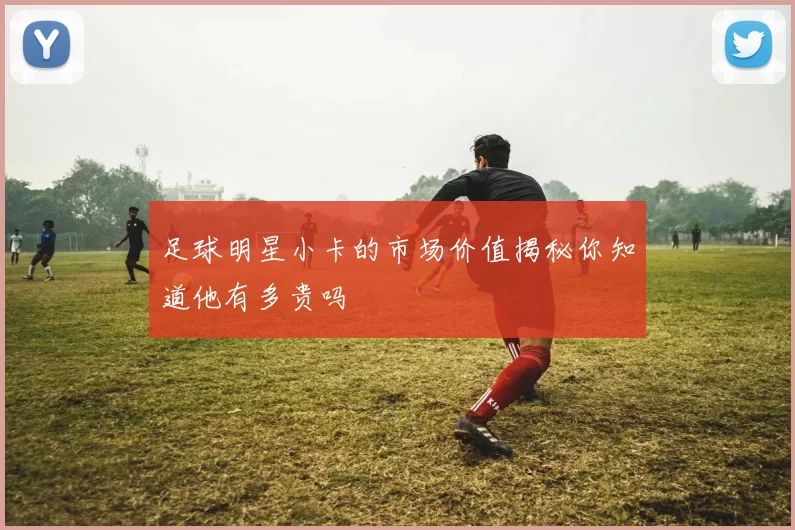 足球明星小卡的市场价值揭秘你知道他有多贵吗