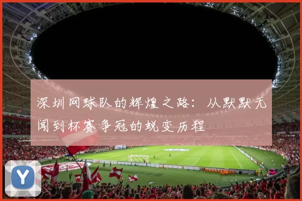 深圳网球队的辉煌之路：从默默无闻到杯赛争冠的蜕变历程